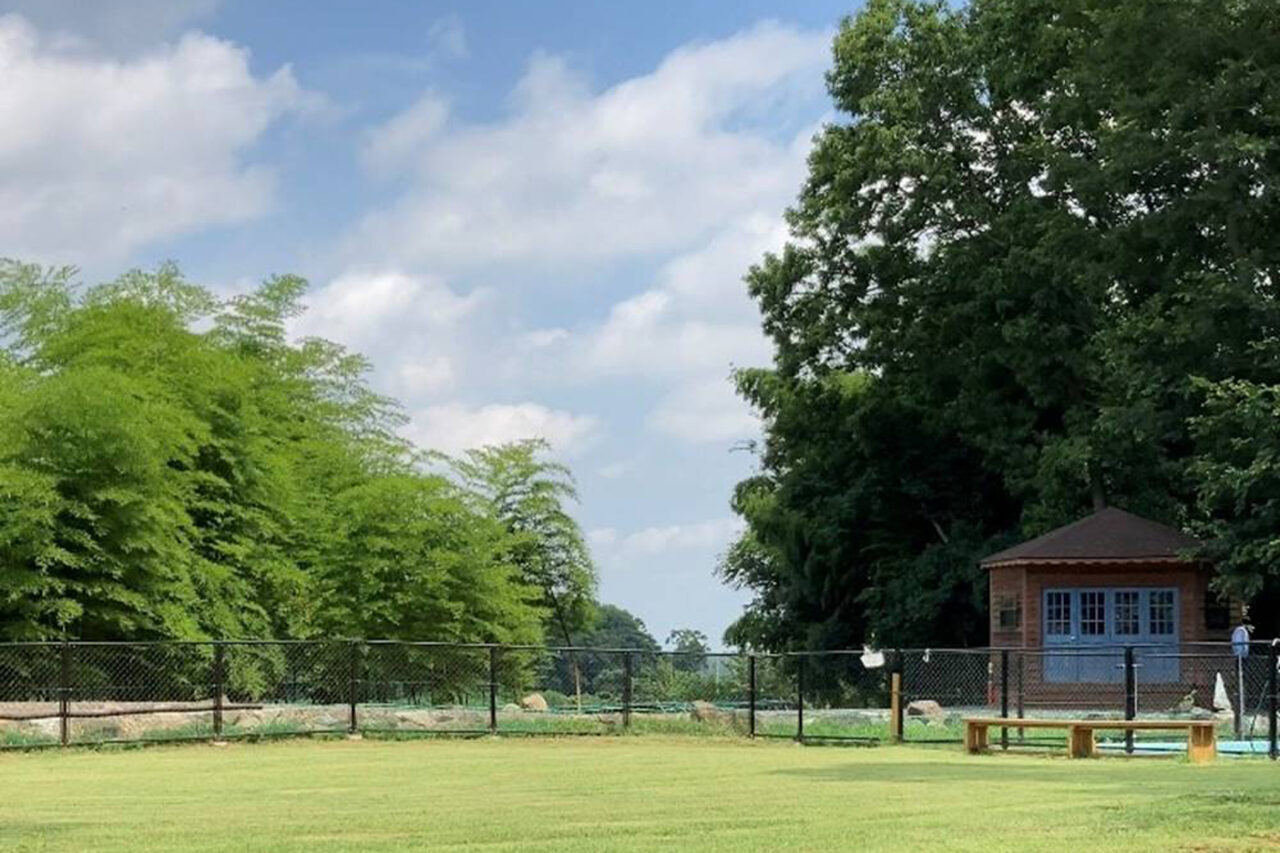 image_hyuggevillage-dogrun