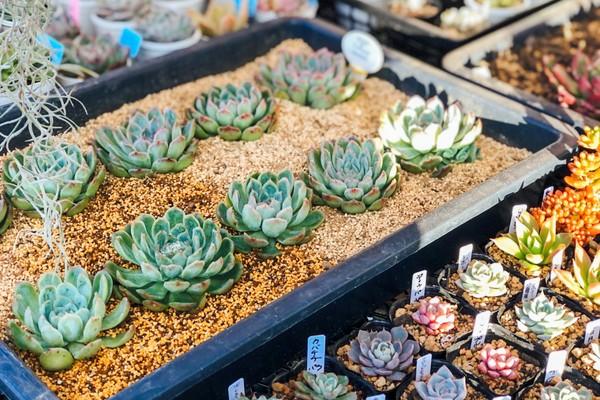 Garden雑貨販売