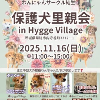 １1/16(日)里親会