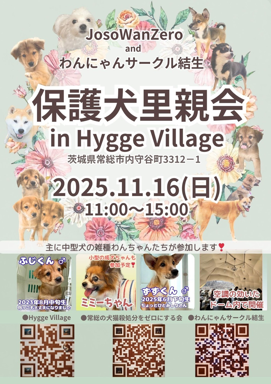 １1/16(日)里親会