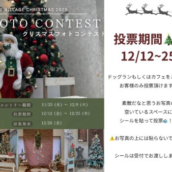 クリスマスフォトコンテスト投票開始