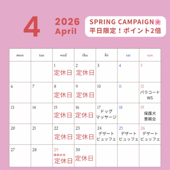 4月スケジュール