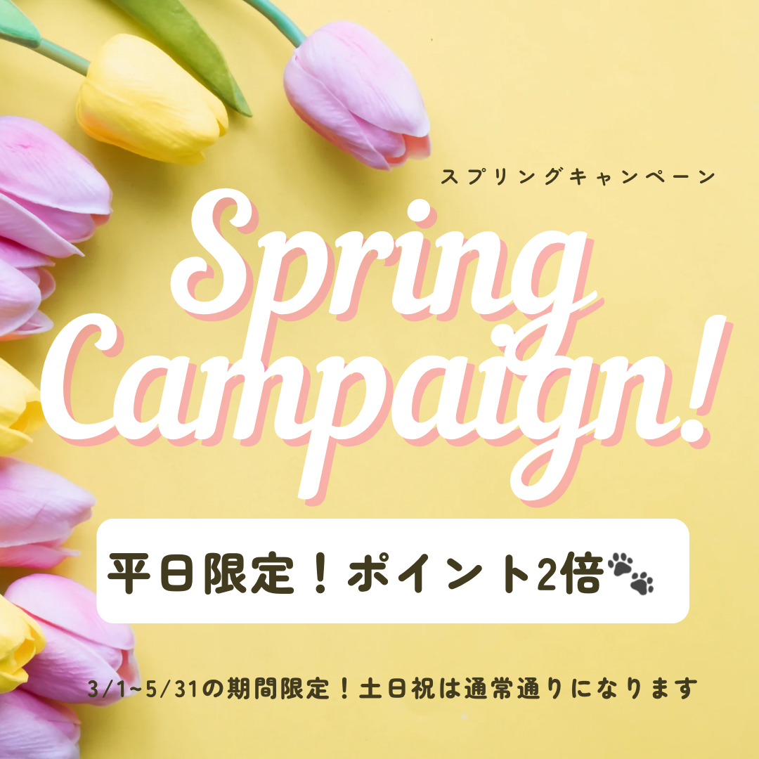 SPRING CAMPAIGN