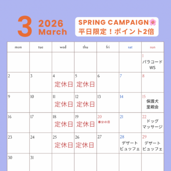 3月スケジュール