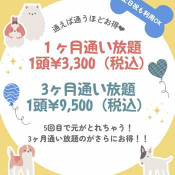 フリーパスはじめました