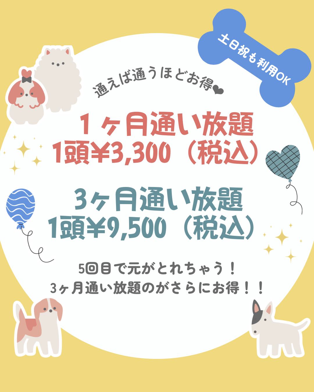 フリーパスはじめました