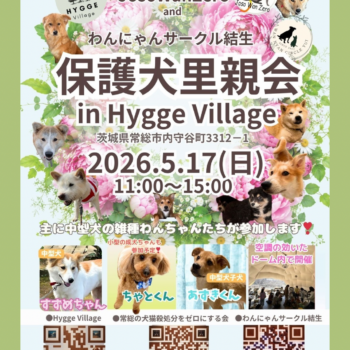 5/17(日)保護犬里親会