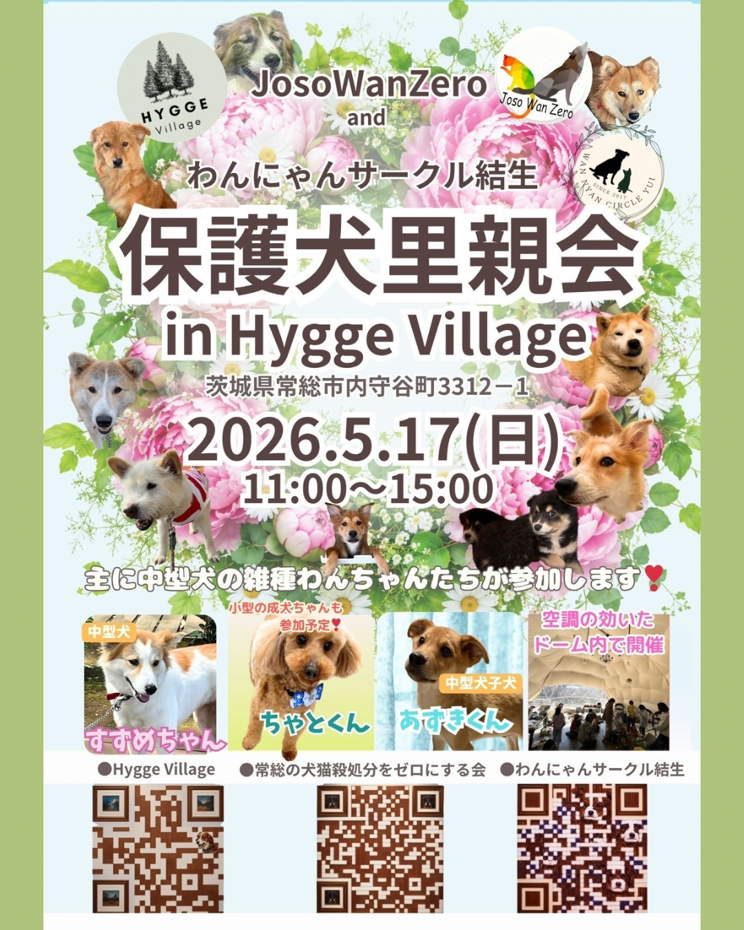 5/17(日)保護犬里親会