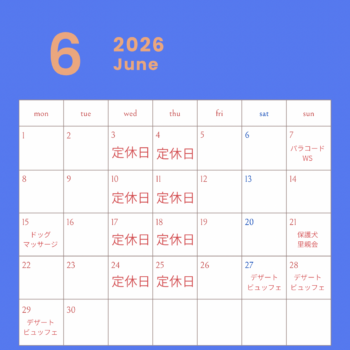 6月スケジュール