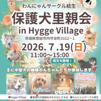 7/19(日)保護犬里親会